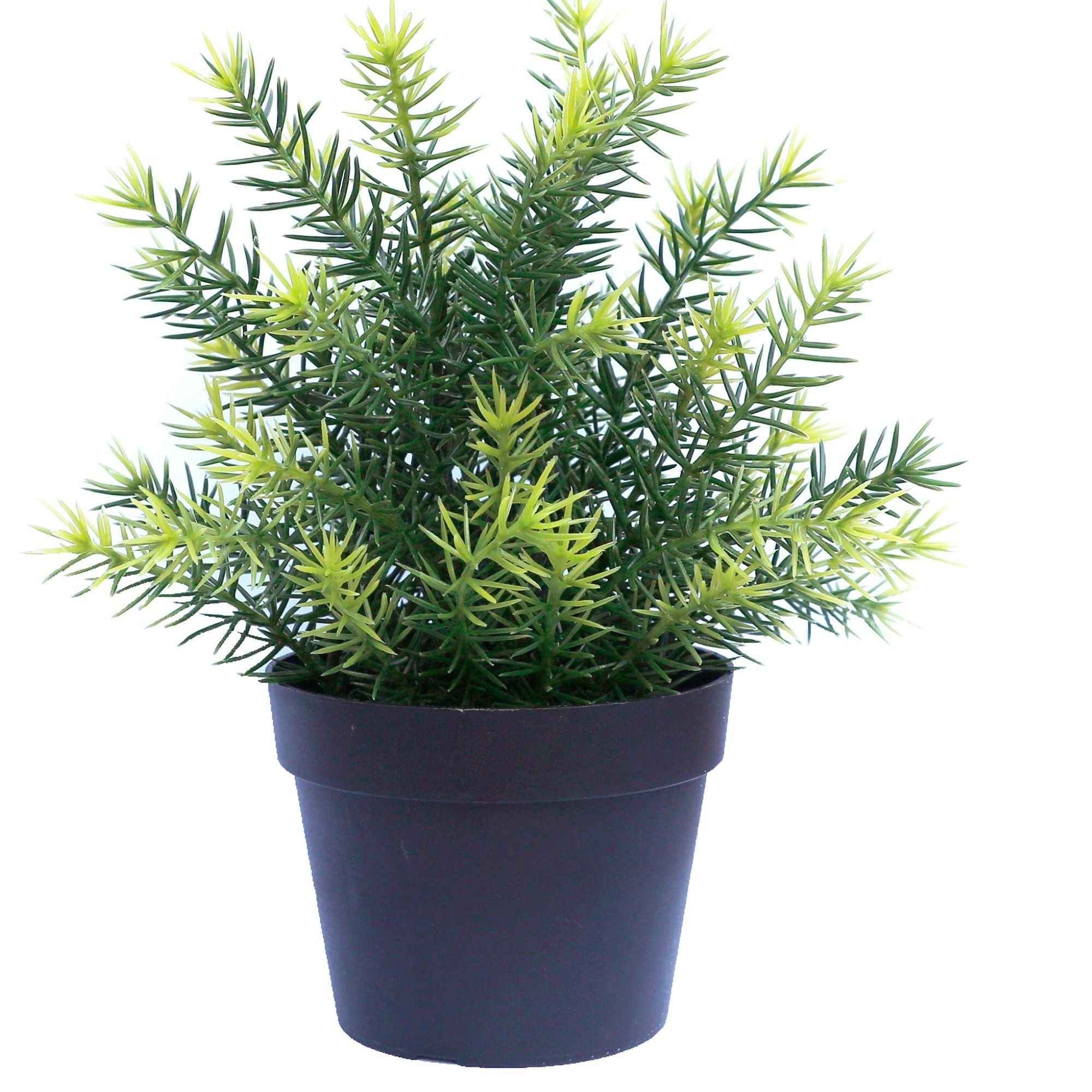 UV Resistant Small Potted Native Grass Artificial Plant 20cm Outdoors